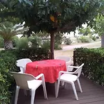 T2 30m2 Piscine
