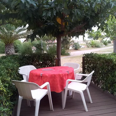 T2 30m2 Piscine